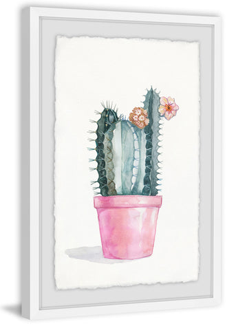 Flowering Succulent II