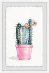 Flowering Succulent II