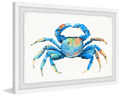 Blue and Orange Crab