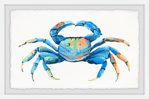 Blue and Orange Crab