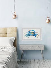 Blue and Orange Crab