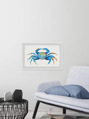 Blue and Orange Crab