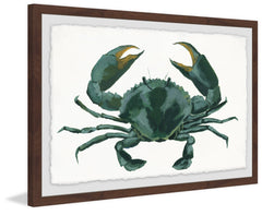 Green Crab