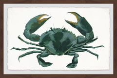 Green Crab