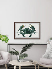 Green Crab