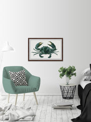 Green Crab