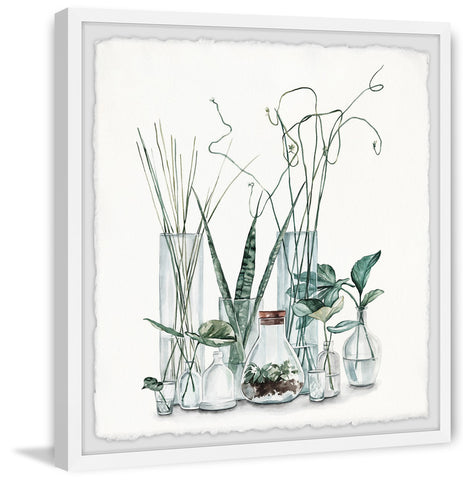 Clear Glass Plants