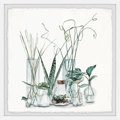 Clear Glass Plants