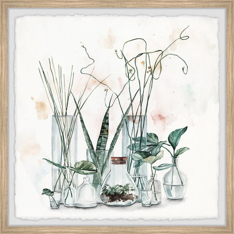 Clear Glass Plants II