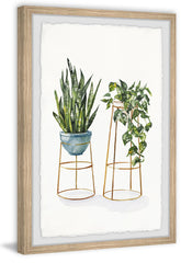 Hanging Plants Stand