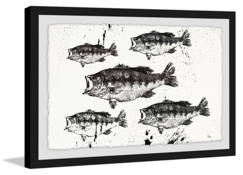 Black and White Fish