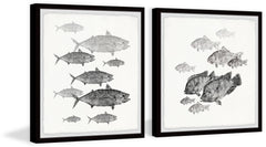 Fishes in Frame Diptych