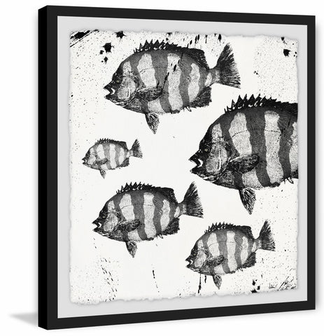 Barred Fish
