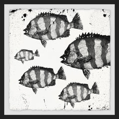 Barred Fish