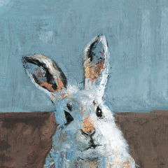 Bonjour Rabbit