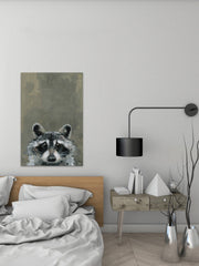 Look Raccoon