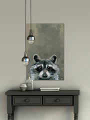 Look Raccoon