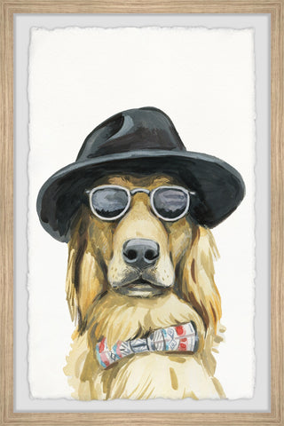 Dog Detective