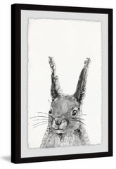 Grey Rabbit