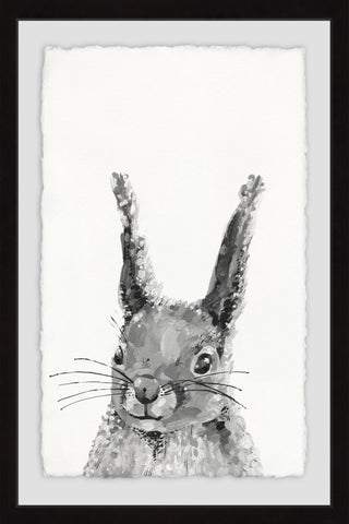 Grey Rabbit