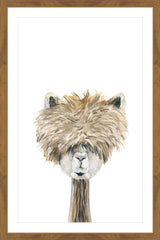 Bushy Haired Llama