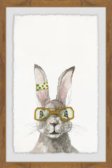 Smart Hare