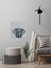 Grey Elephant