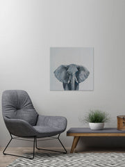 Grey Elephant