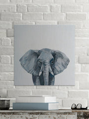 Grey Elephant