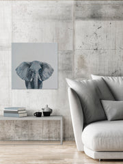 Grey Elephant