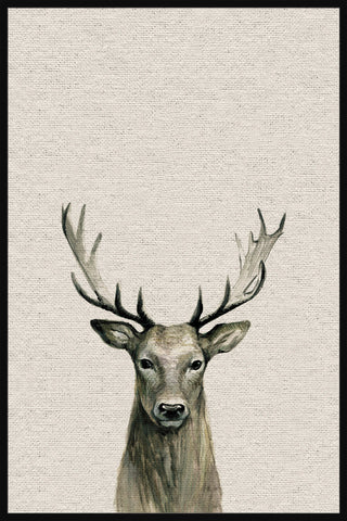 Staring Buck II