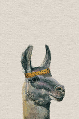 Llama Bandana II