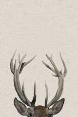 The Antler