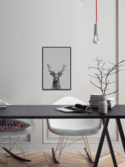 Staring Buck III