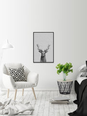 Staring Buck III