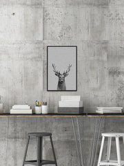 Staring Buck III