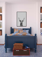Staring Buck III