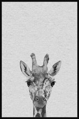 Cheeky Giraffe III