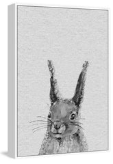 Grey Rabbit II