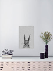 Grey Rabbit II