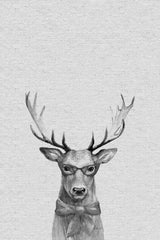 Wise Deer