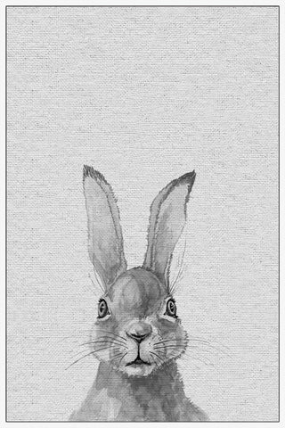 Lapin Gris II