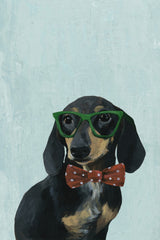 Nerdy Dog