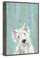 Furry Dog