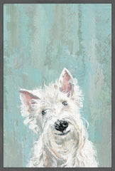 Furry Dog
