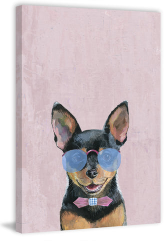 Astounding Dog