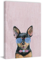 Astounding Dog