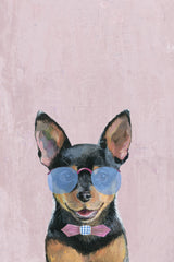 Astounding Dog