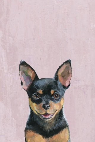 Simply Puppy