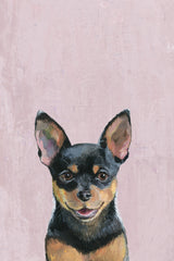 Simply Puppy